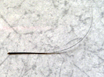 070706_2.jpg