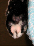 2007_nikukyu1.jpg