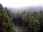 arima0709_3.jpg
