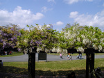 green4.jpg