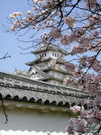 himeji1.jpg