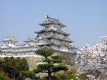 himeji2.jpg