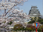 hineji4.jpg