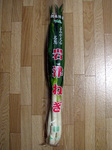 iwatsunegi.jpg