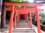 izushi_inari.jpg
