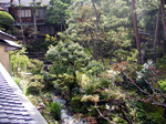 kinosaki_shiga3.jpg