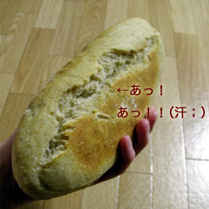 levain2_3.jpg